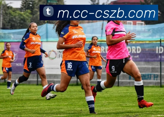 彩神争霸发展历程